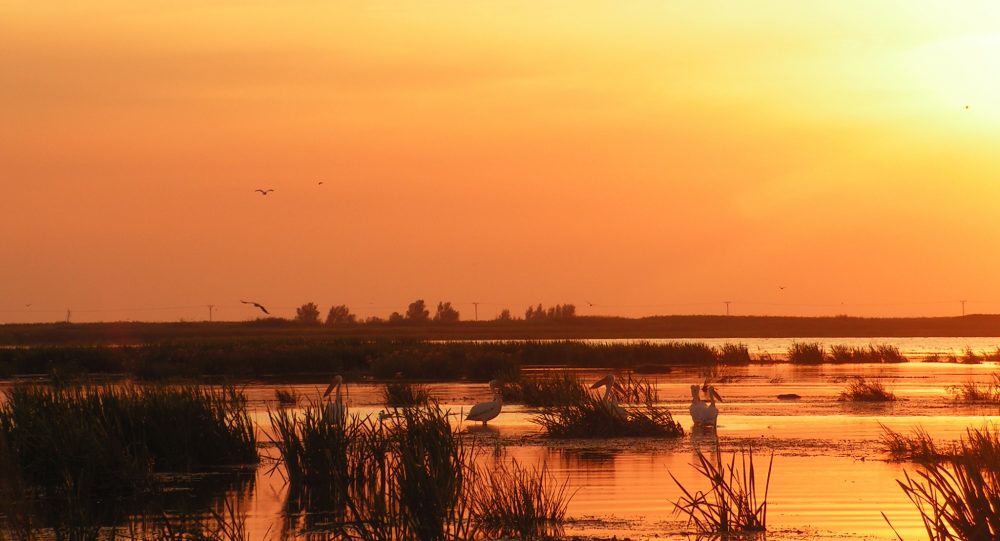 You are currently viewing Delta Dunării – O gură de rai la capătul pământului