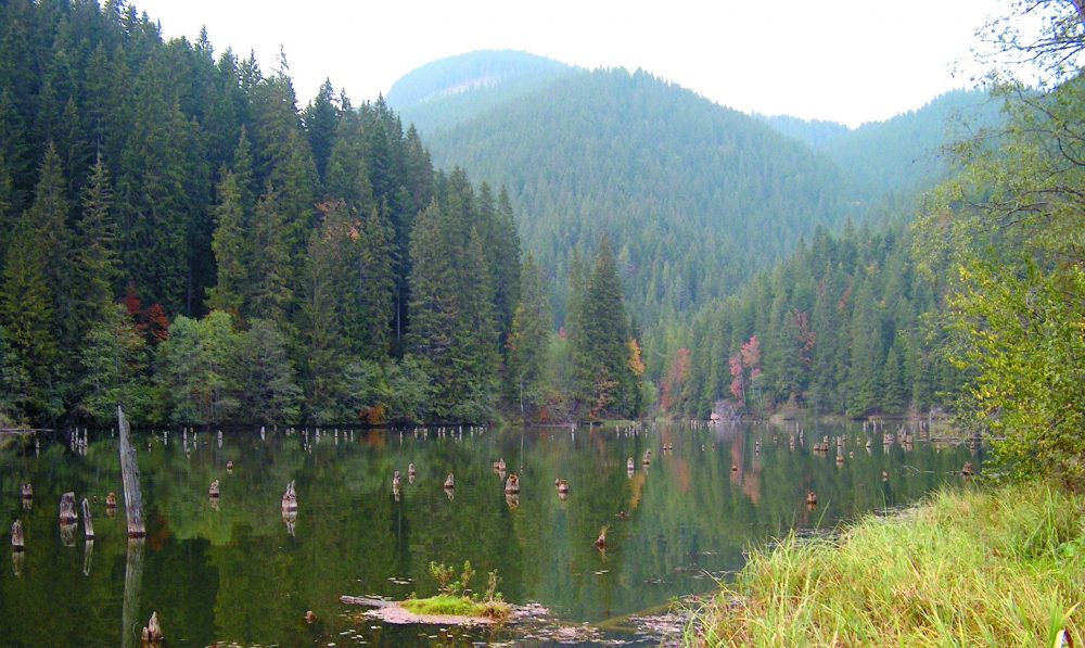 You are currently viewing Turismul responsabil în România. Poveștile noastre în cadrul Târgului de Turism al României