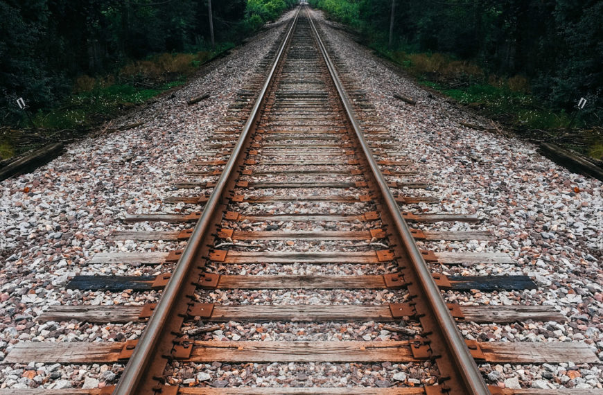 Călători români privind pe fereastra trenului. O încercare de istorie culturală (1830-1930)- Radu Mârza