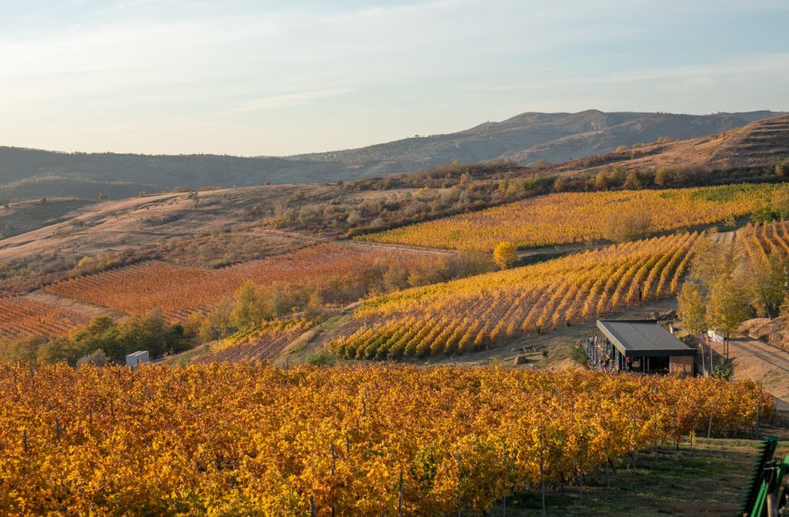 Velvet Winery