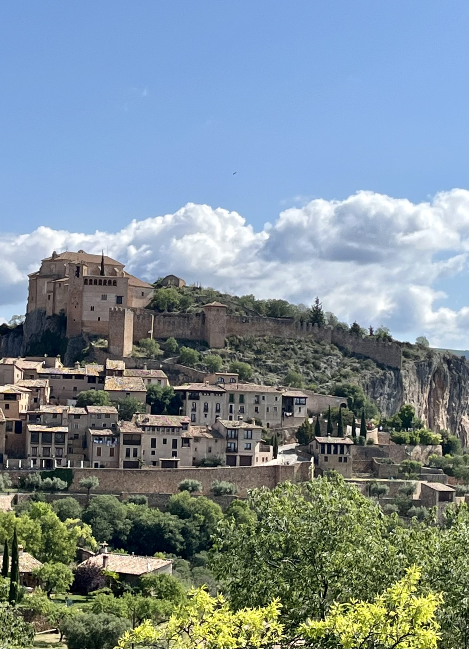 You are currently viewing Pasarelas del Vero (Pasarelas de Alquézar)