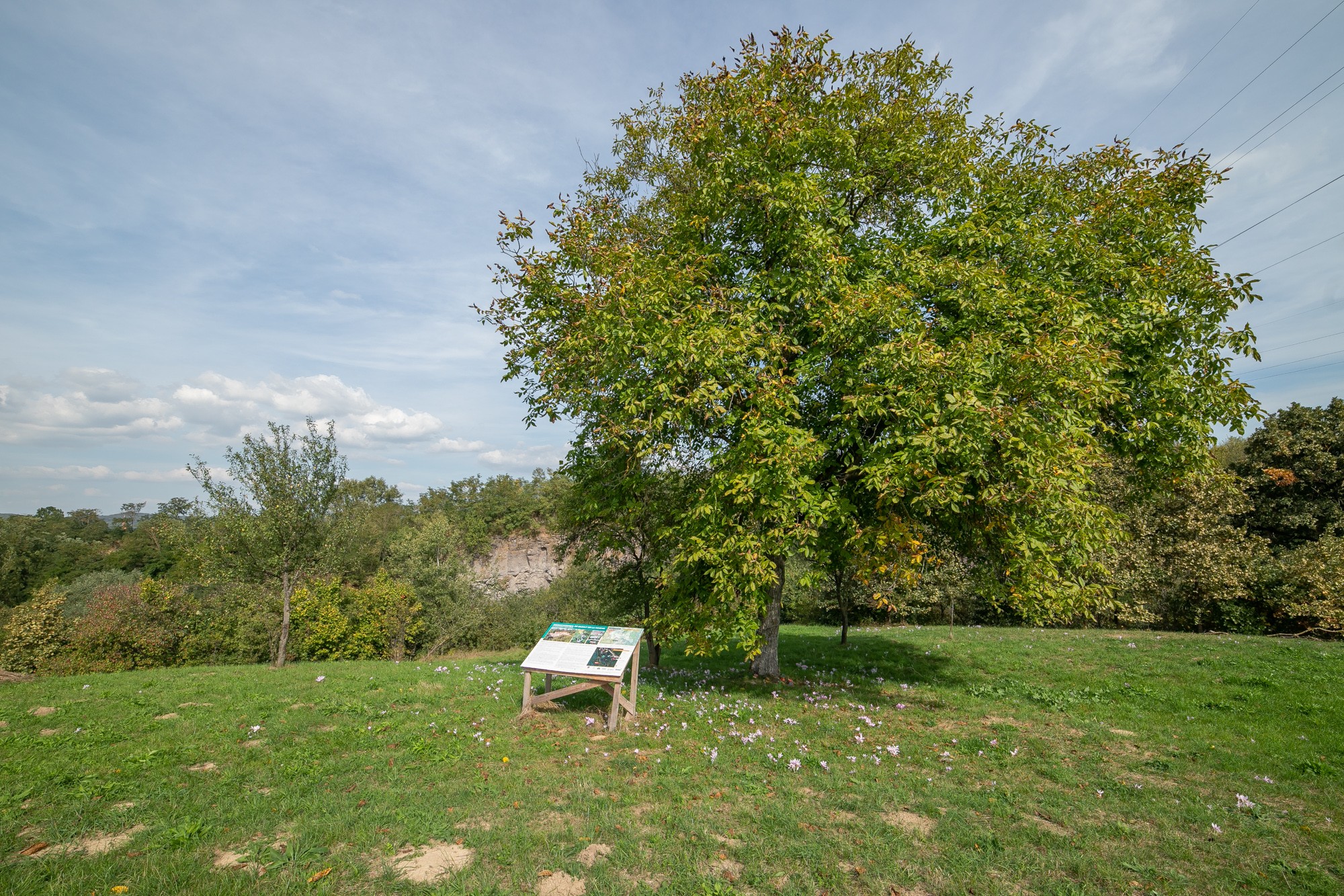 Read more about the article Microcanionul de Bazalt și cascada din Hoghiz