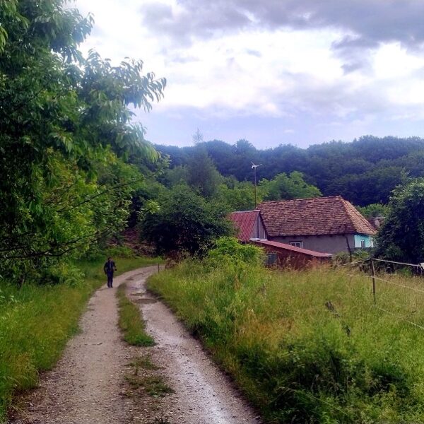 Laz-Șoimuș / Solymosiláz